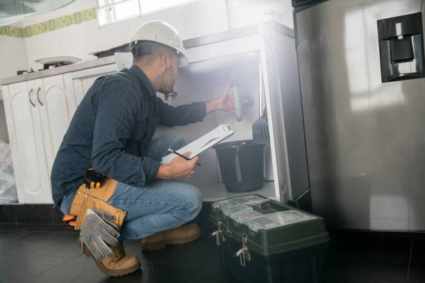 Best Local Plumber Services  in Bellwood, PA